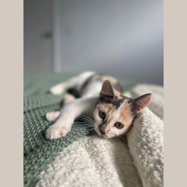Photo of Elyse 🌺