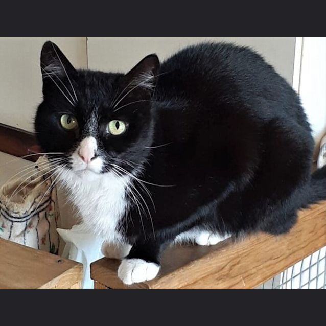 Photo of Phryne