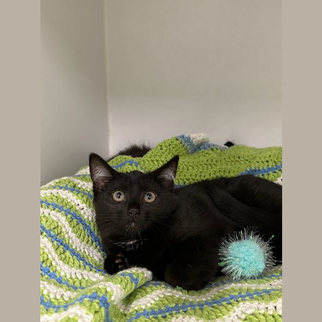 Photo of Little Miss Trouble