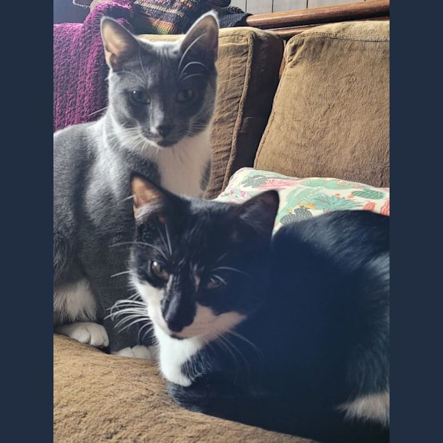 Photo of Sunday & Wednesday 