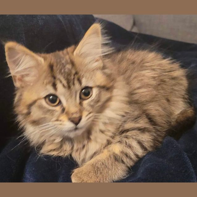 Photo of 🌸 Mary 🌸