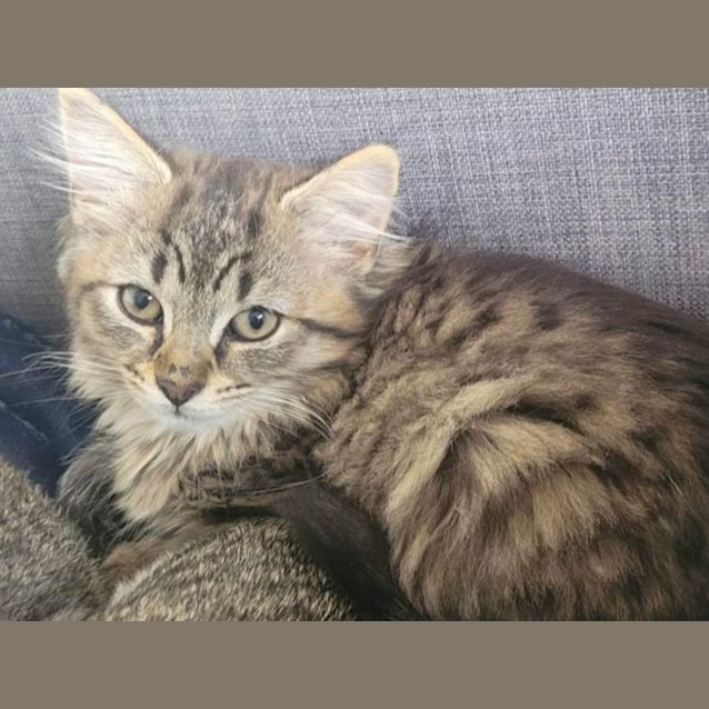 Photo of 🌸 Mary 🌸