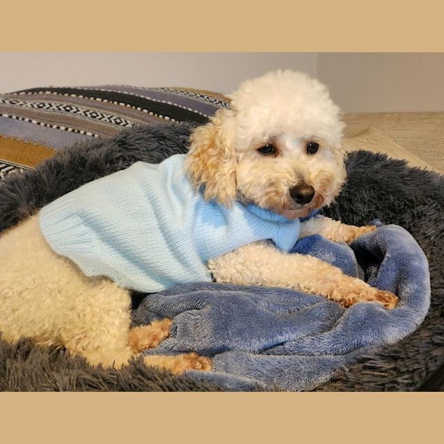 Photo of Kody