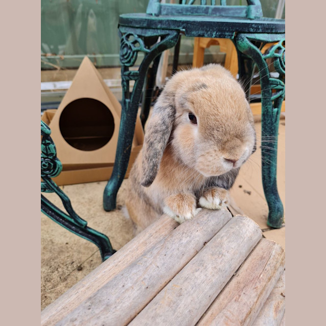 Photo of Lucy Destiny 