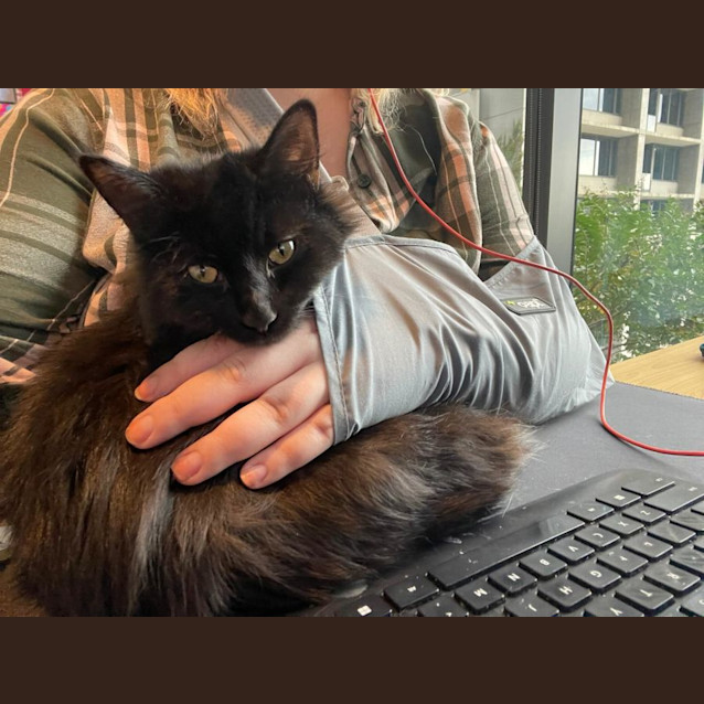Photo of Joey & Indy 