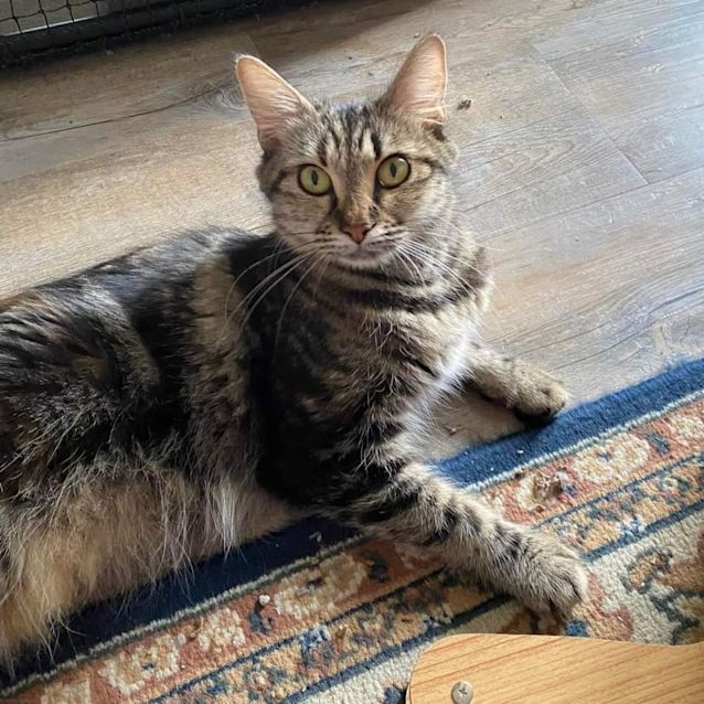 Photo of Jellybean