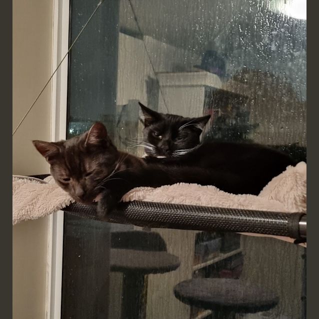 Photo of Mr Boots