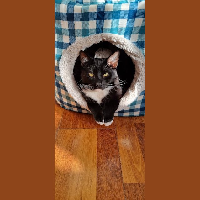 Photo of Mr Boots