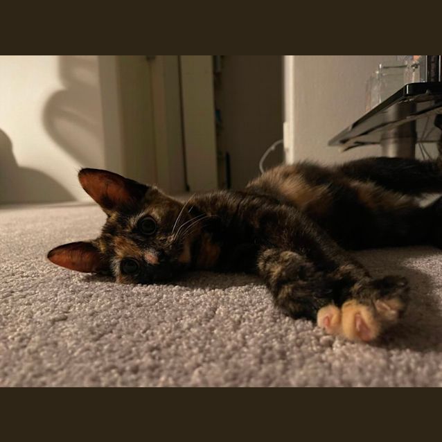 Photo of Kit Kat