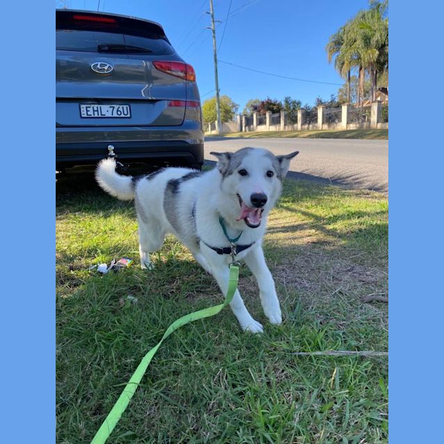 Photo of Tundra