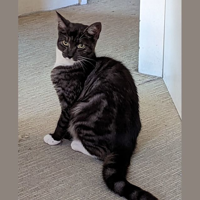 Photo of Spooky