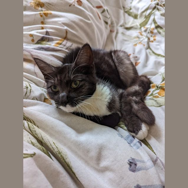 Photo of Spooky
