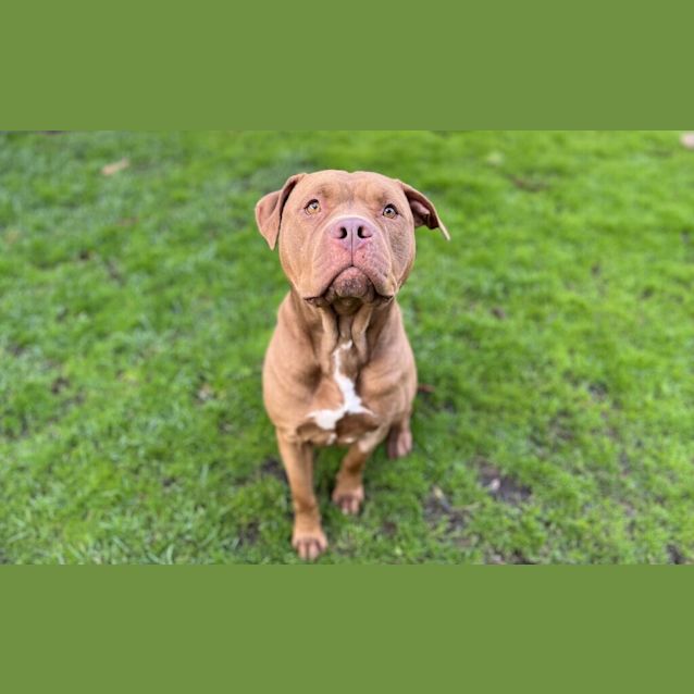 Photo of Zaza