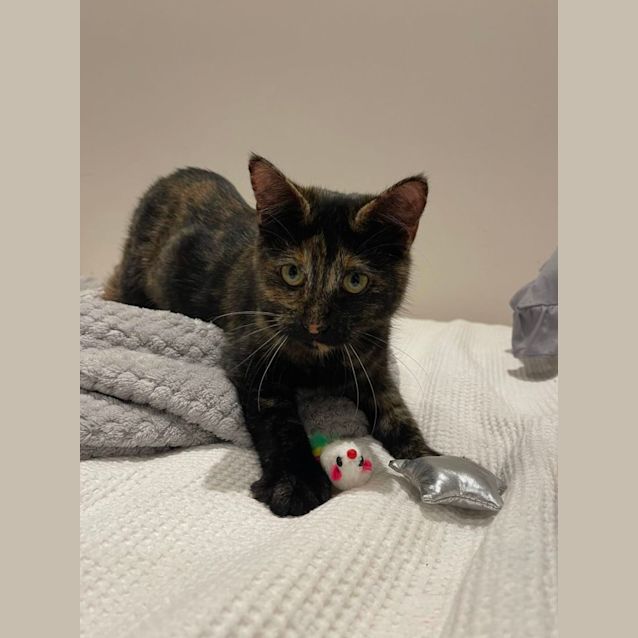 Photo of Sky & Shadow