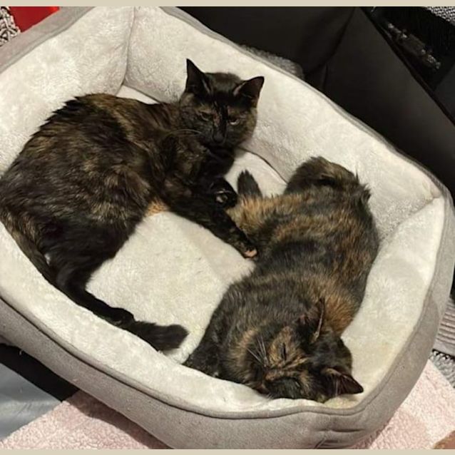 Photo of Sky & Shadow