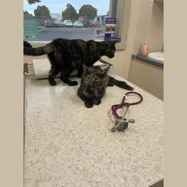 Photo of Sky & Shadow