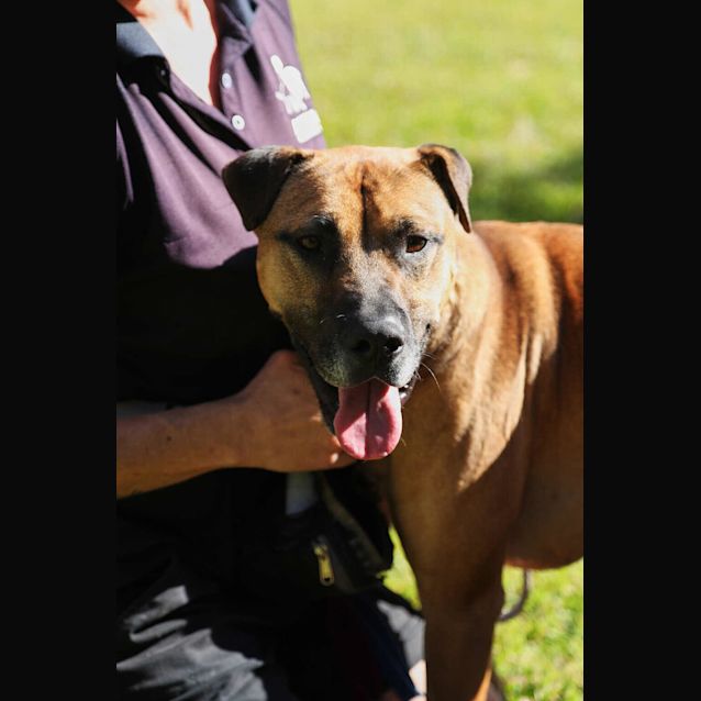 Photo of Thor