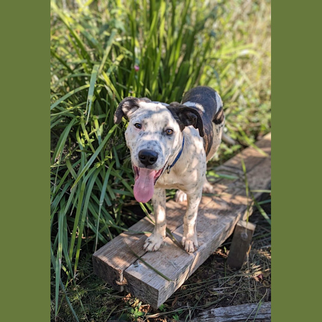 Photo of Micah