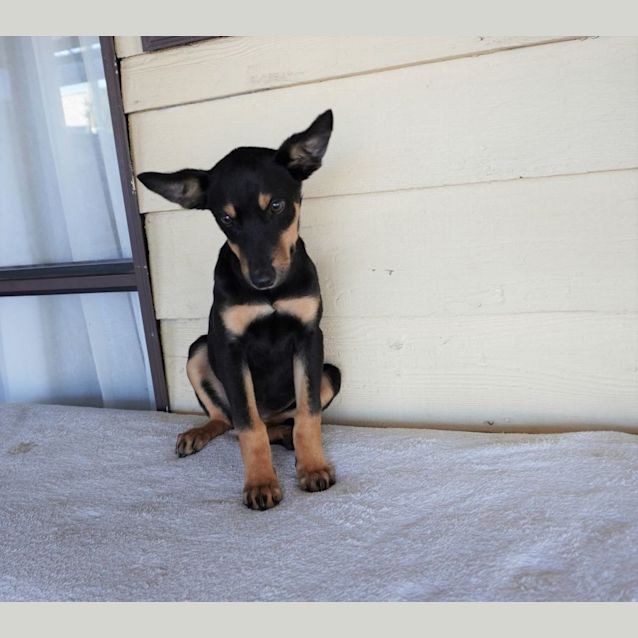Photo of Addie