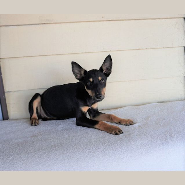 Photo of Addie