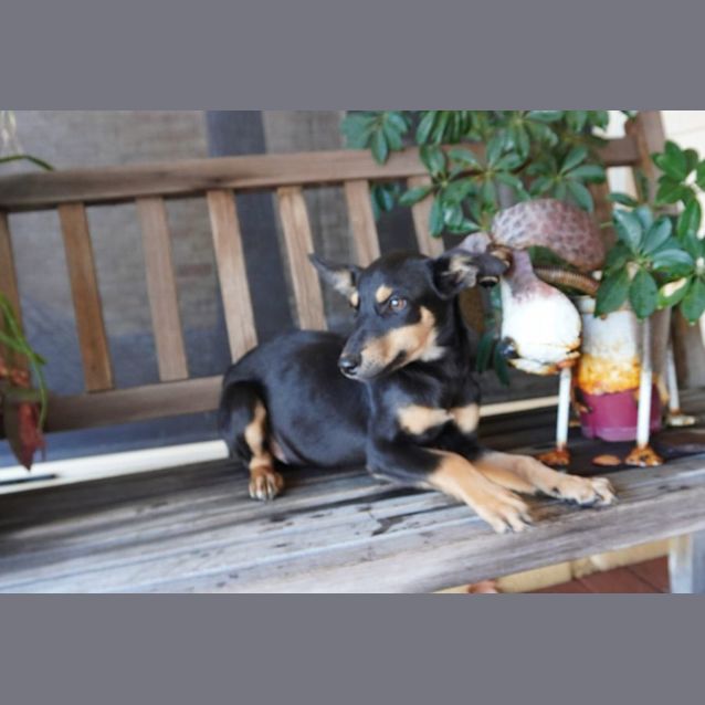 Photo of Addie