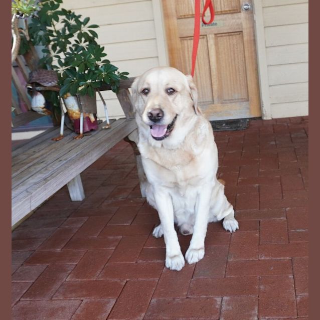 Photo of Captain