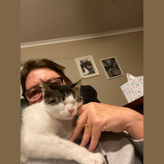 Photo of Gremlin Meet Me Pe Tstock Keysborough 