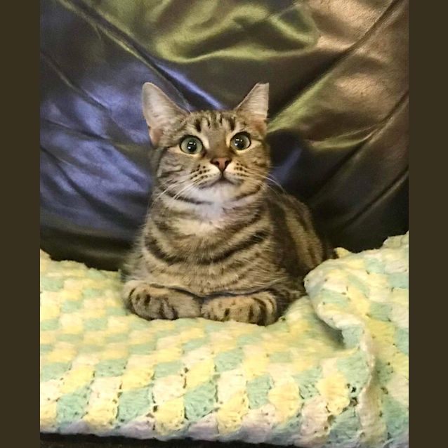 Photo of Lexie Deserves A Second Chance
