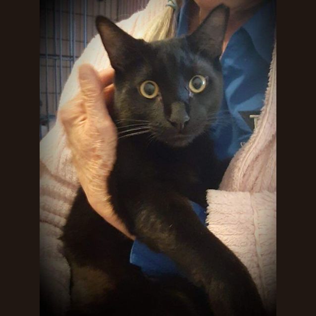 Photo of Stunning Billy