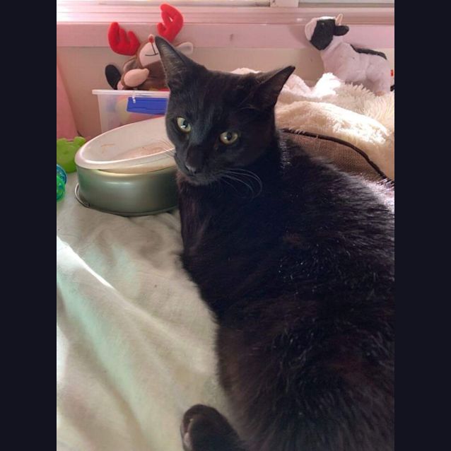 Photo of Stunning Billy