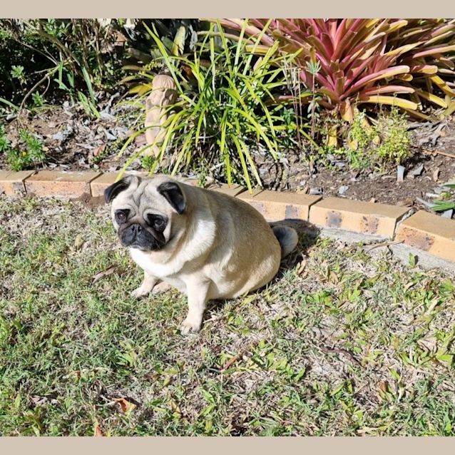 Photo of Marnie