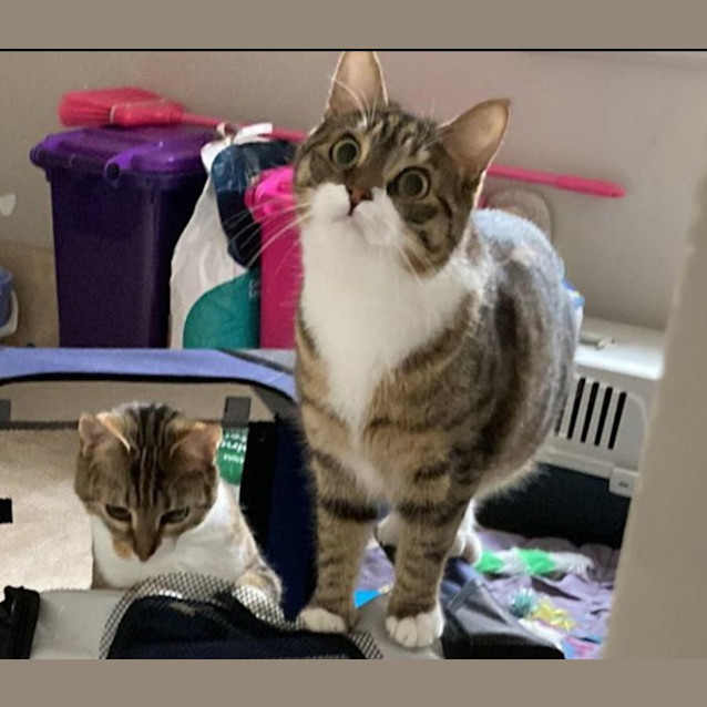 Photo of Fred & Wilma 