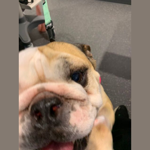 Photo of Lucy 
