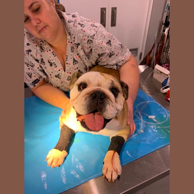Photo of Lucy 