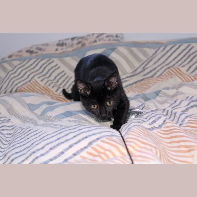 Photo of Jasmine