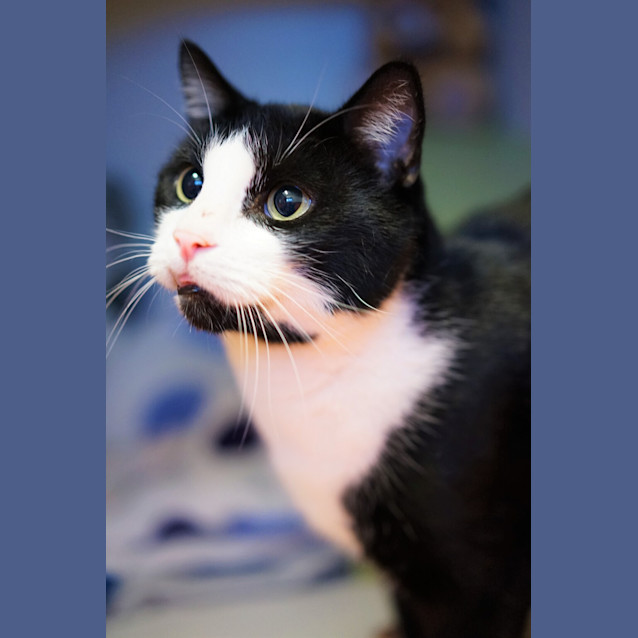 Photo of Gunther