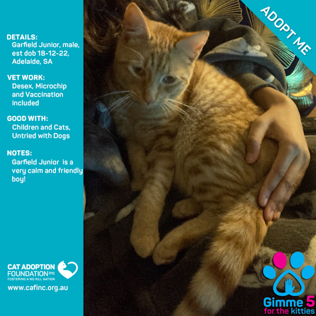 Photo of Garfield Junior