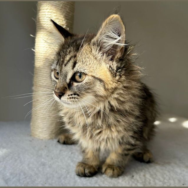 Photo of 🌸 Mary 🌸