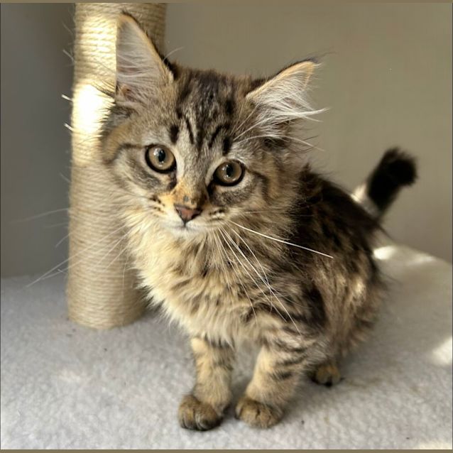 Photo of 🌸 Mary 🌸