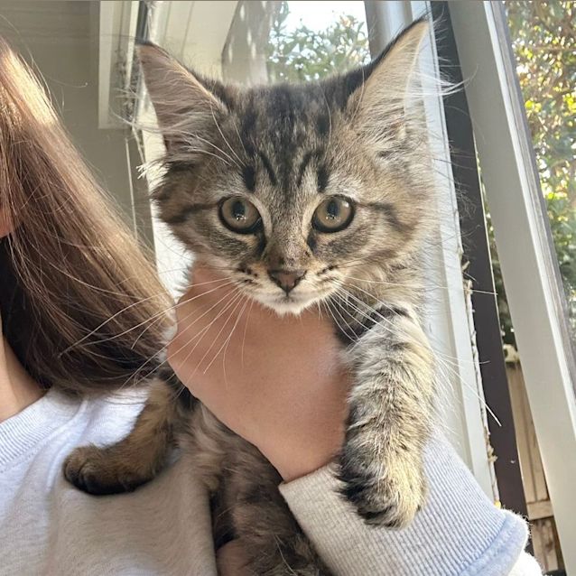 Photo of 🌸 Mary 🌸