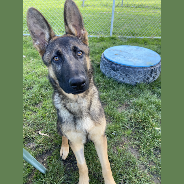 Photo of Knox