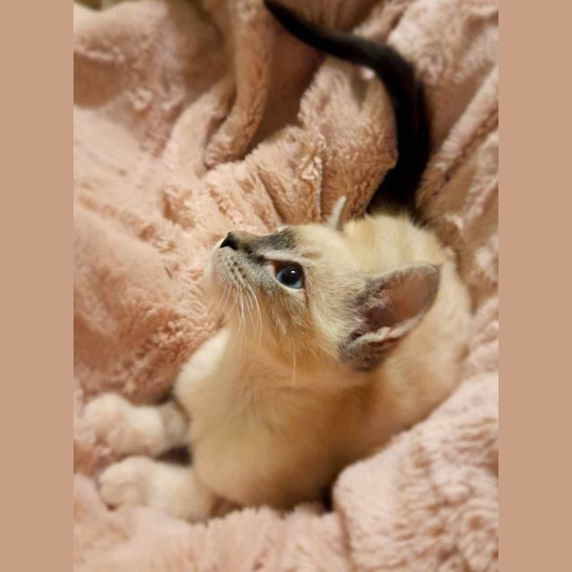 Photo of Maid Marian