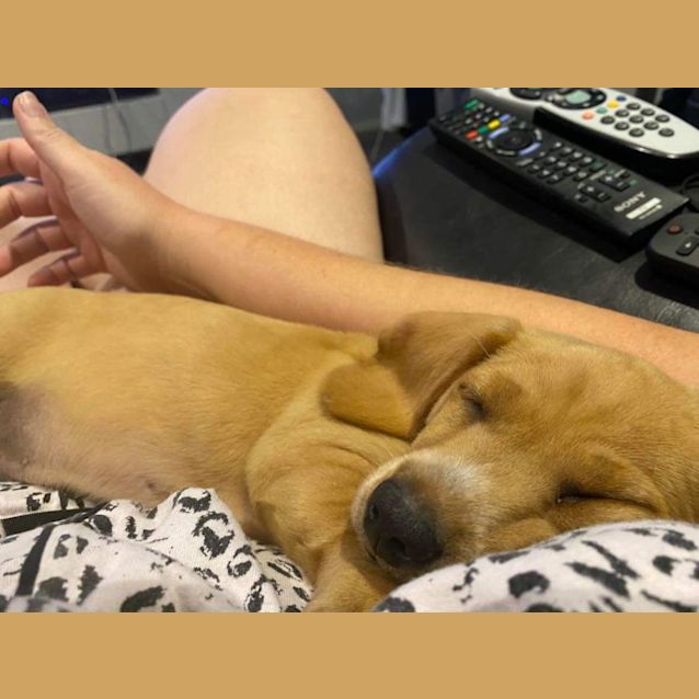 Photo of Alfie & Cali 