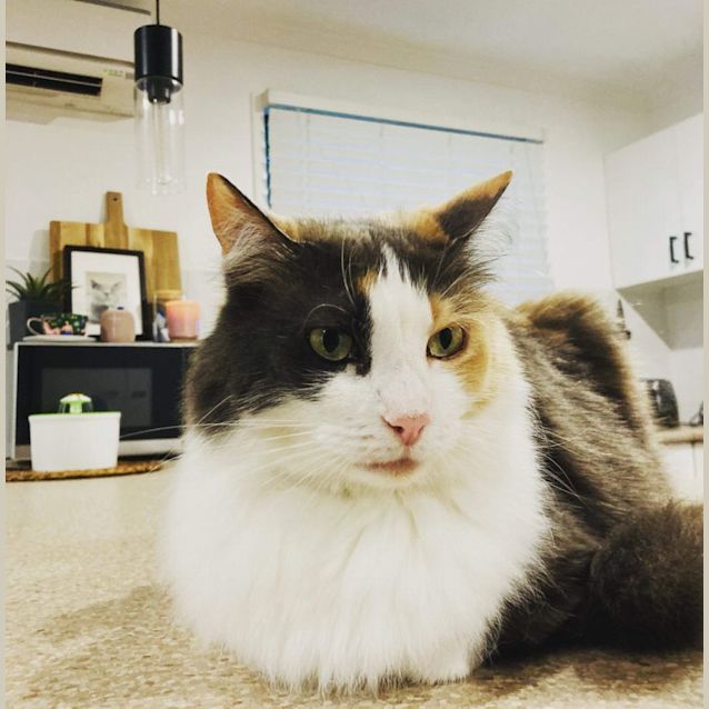 Photo of Angel