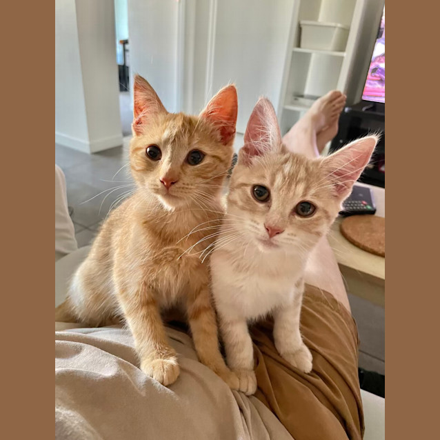 Photo of August & Autumn