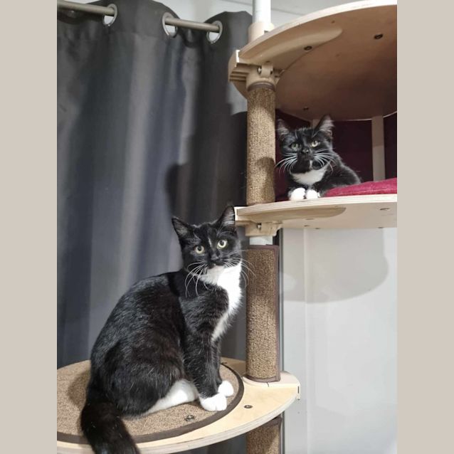 Photo of Bonnie & Clyde*Meet At Neko Hq Preston 3rd June*