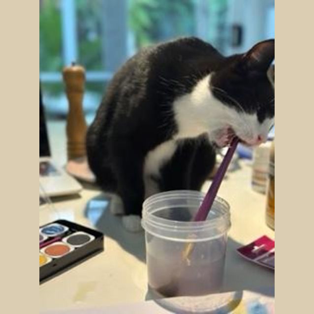 Photo of Joey & Chandler