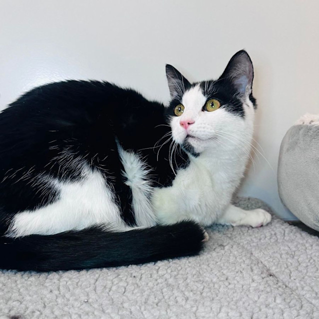 Photo of Connor   Located In Canberra