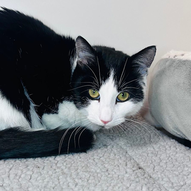 Photo of Connor   Located In Canberra