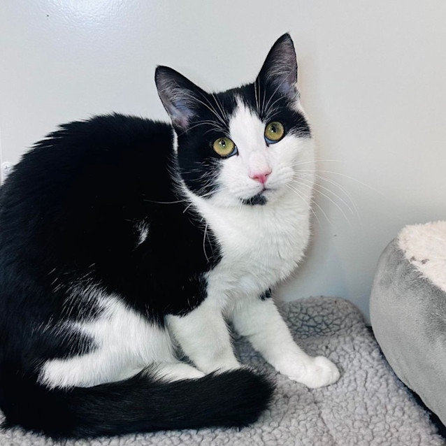 Photo of Connor   Located In Canberra